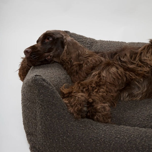 Nordog Billy // Bouclé-Hundebett mit Memory Foam (Schokolade)