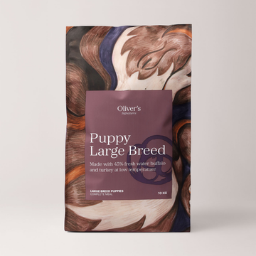 Signature Puppy Large Breed // Tørfoder til store hvalpe m. vandbøffel og kalkun