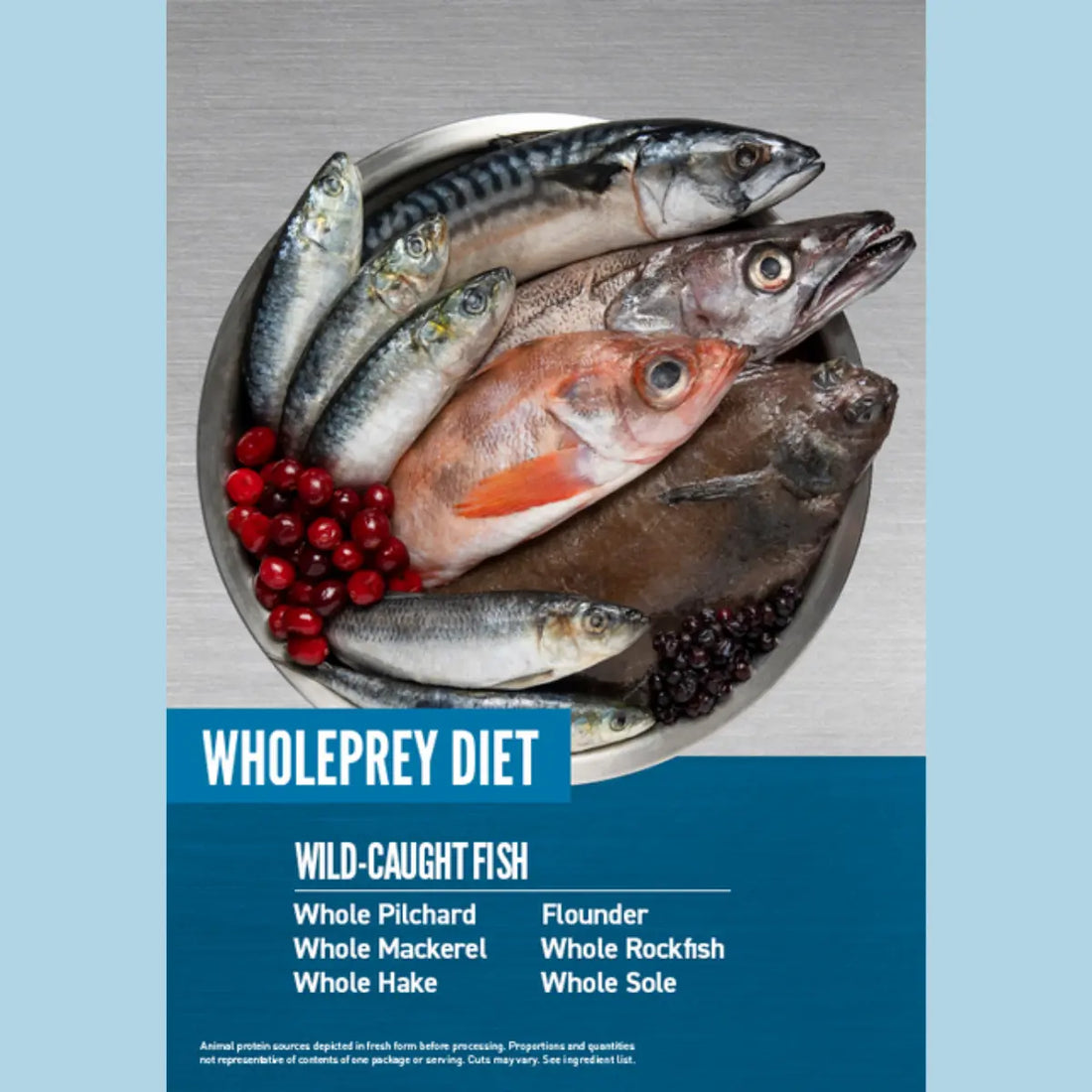 Orijen Six Fish // Hundefutter besonders gut für Fell und Haut