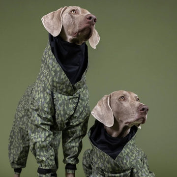 Paikka Rain Suit // Wasserdichter Regenanzug mit guter Passform (grün)