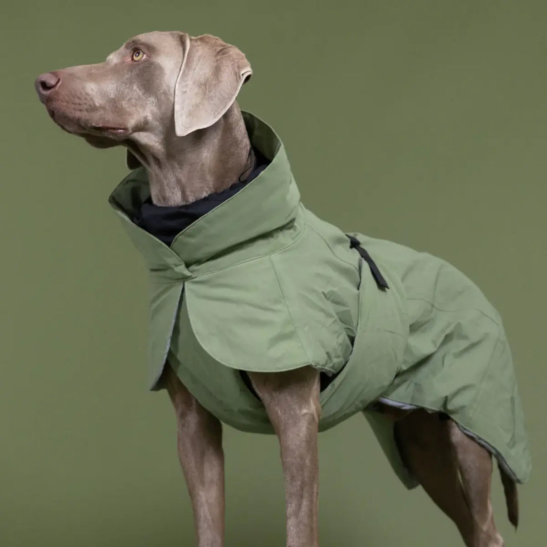 Paikka Winter // Funktionelle Winterjacke mit guter Passform (Khakigrün) Größe 65