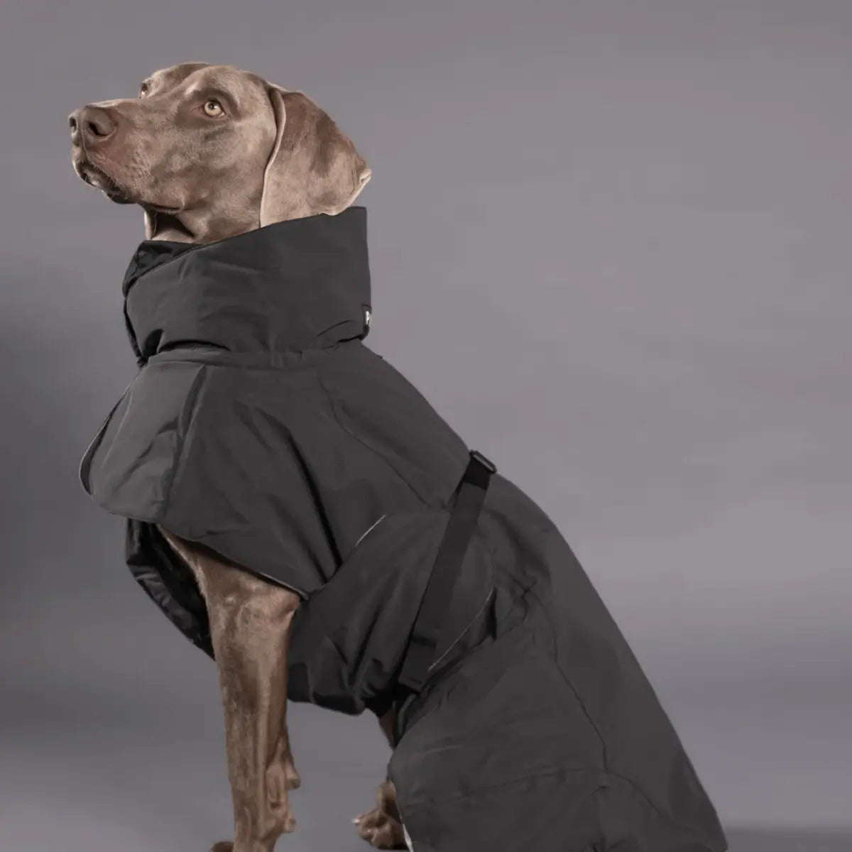 Paikka Winter // Funktionelle Winterjacke mit guter Passform (schwarz)