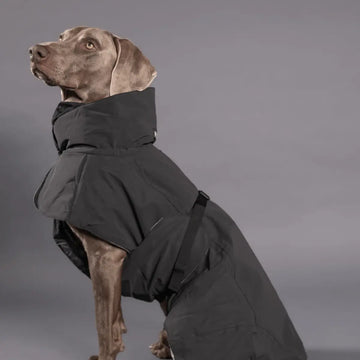 Paikka Winter // Funktionelle Winterjacke mit guter Passform (schwarz)