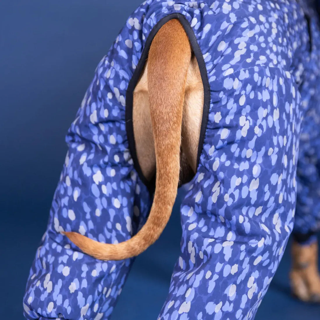 Paikka Winter Suit // Warmer und wasserdichter Winteranzug mit guter Passform (blau)