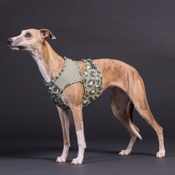 Paikka Cooling Vest // Kühlweste für heiße Tage (green leo)