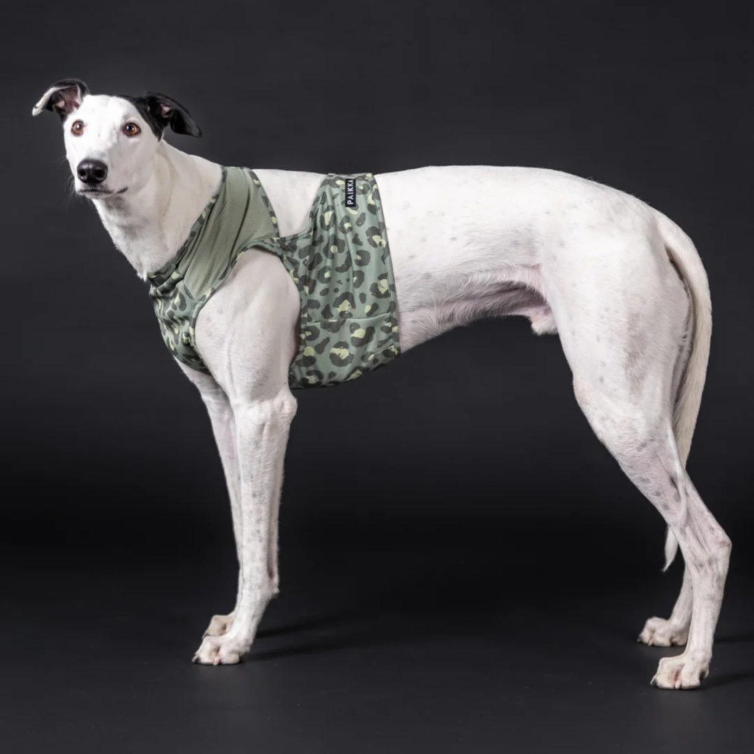 Paikka Cooling Vest // Kühlweste für heiße Tage (green leo)