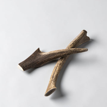 Rauh! Antler // Haltbares Hirschgeweih-Kauspielzeug