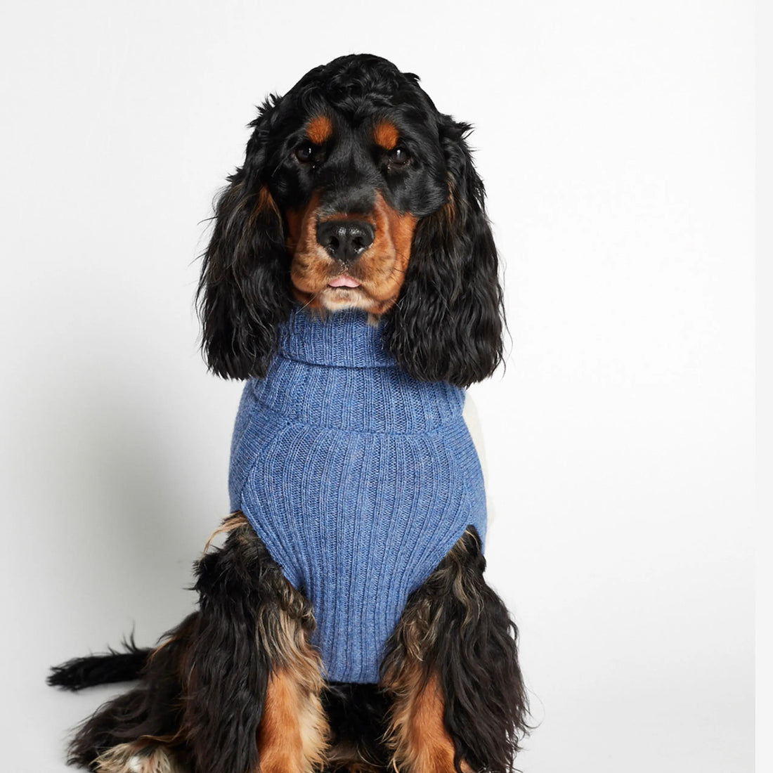 Rene Sweater // Hundepullover mit Geschirrzugang (blau) klein