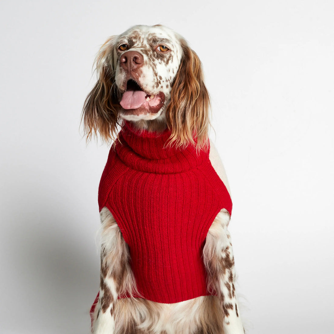 Rene Sweater // Hundepullover mit Geschirrzugang (rot) klein