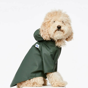 Sarah Raincoat, No Hole // Regenjacke mit Ärmeln und Kapuze (oliv) 10, 20