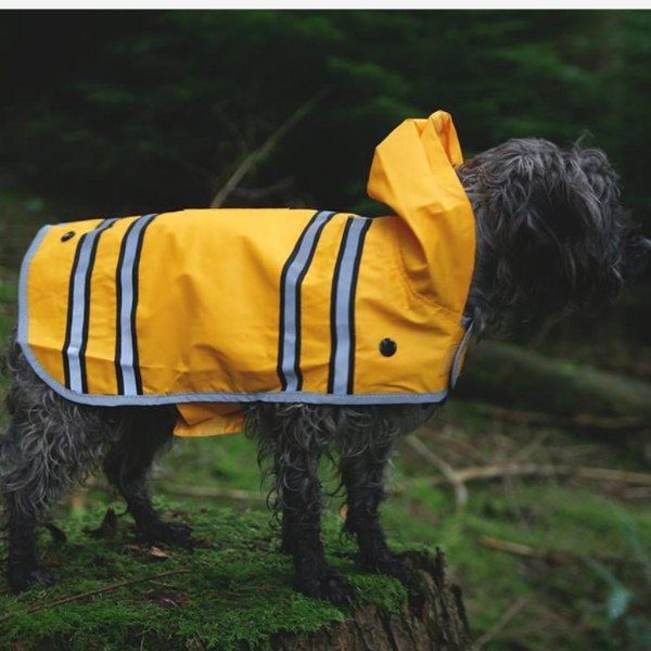 Sötnos Sunshine Raincoat // Regenjacke, die nicht über dem Kopf getragen werden muss