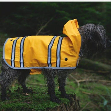 Sötnos Sunshine Raincoat // Regenjacke, die nicht über dem Kopf getragen werden muss