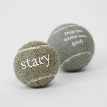 Staey Squaker Ball // Hundebolde med piv (2 stk.)