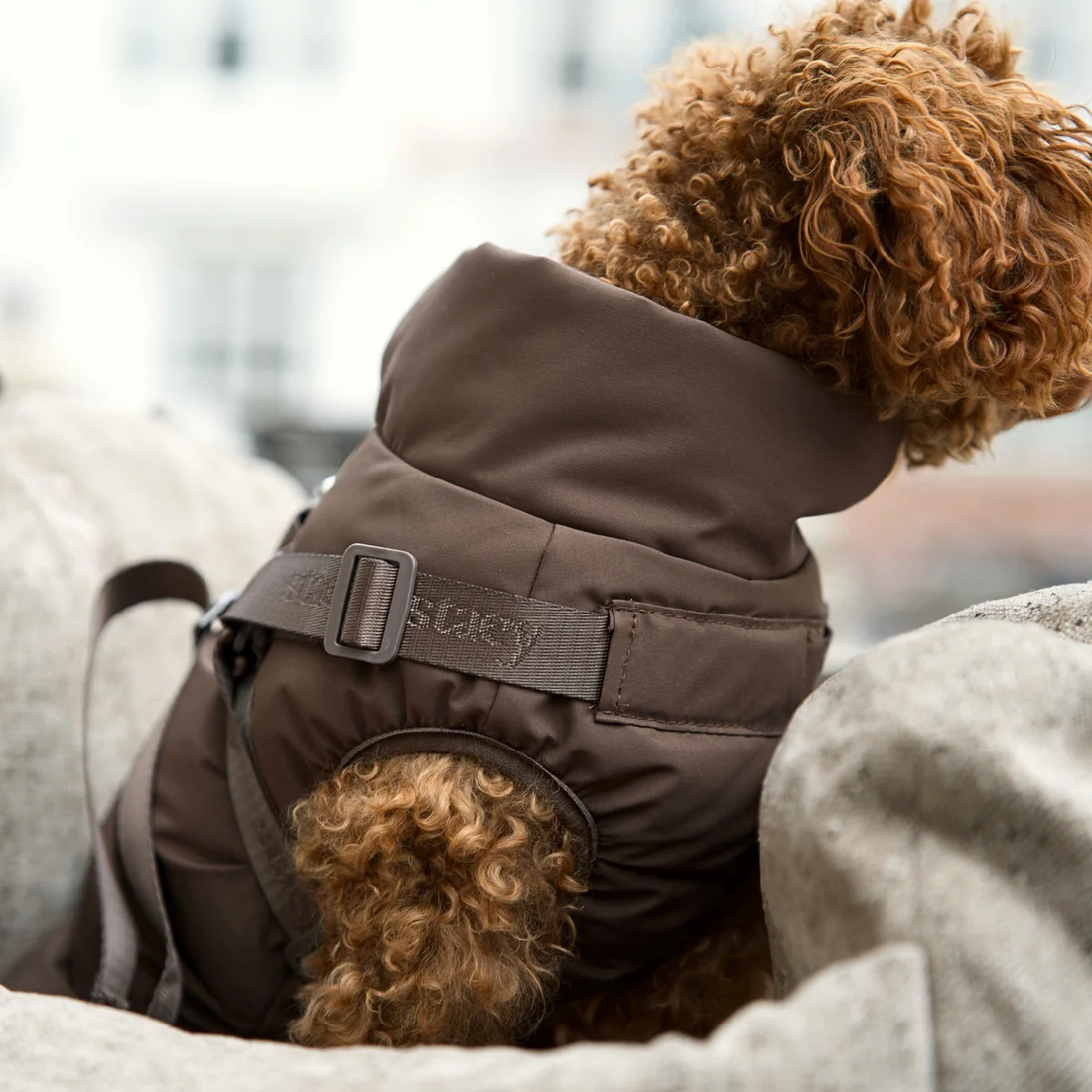 Staey Vera // Varm hundejakke med justerbar sele (chestnut)
