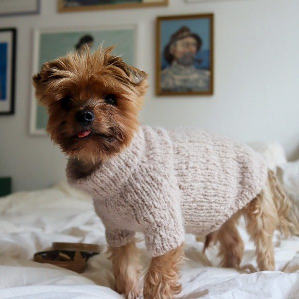 WEAR FIFI Strickset // Flauschiger Hundepullover zum Selberstricken (Mandel)