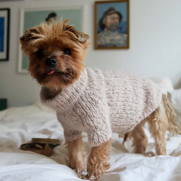 WEAR FIFI Strickset // Flauschiger Hundepullover zum Selberstricken (blaugrün)