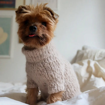 WEAR FIFI Strickset // Flauschiger Hundepullover zum Selberstricken (lila)