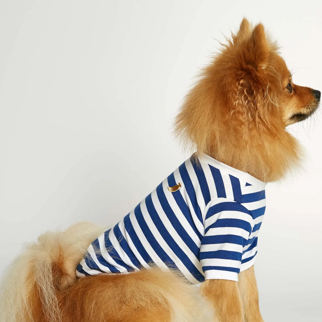David T-Shirt // Hundeshirt mit Ärmeln aus Bio-Baumwolle (blau)