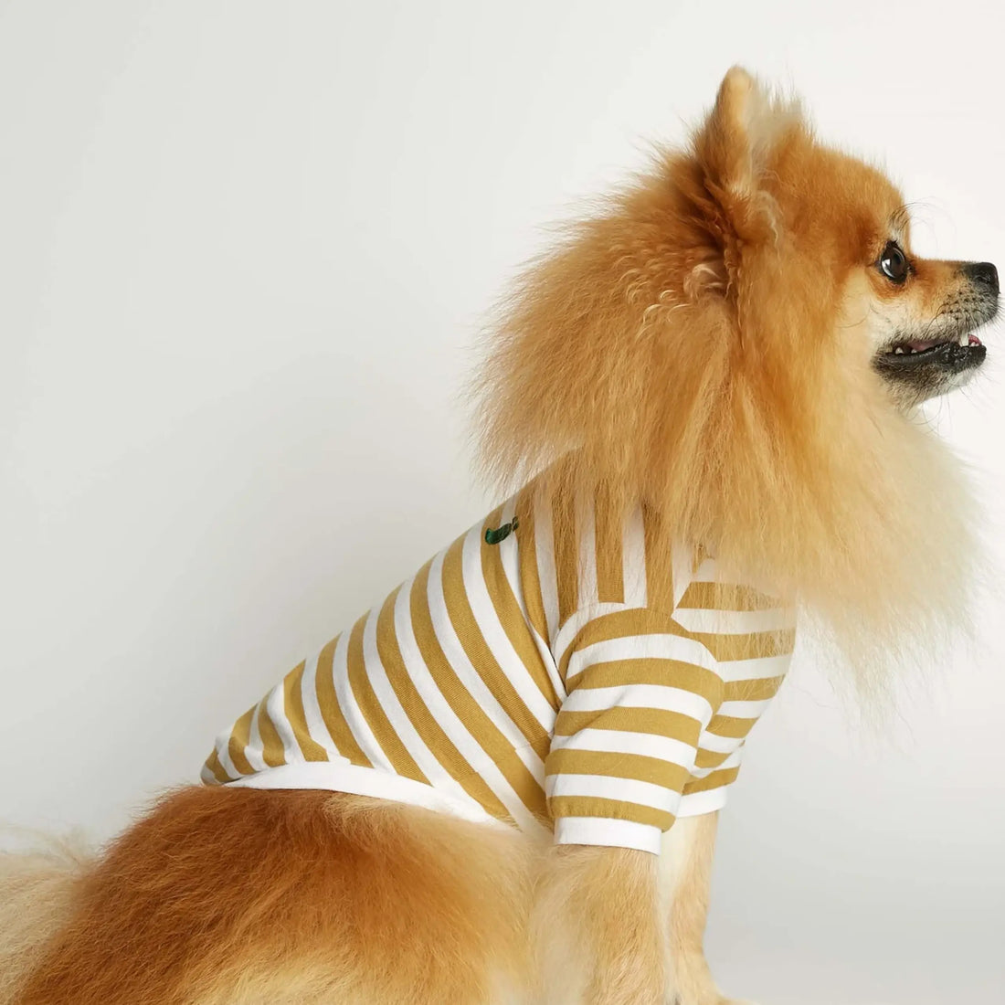 David T-Shirt // Hundeshirt mit Ärmeln aus Bio-Baumwolle (Dijon)