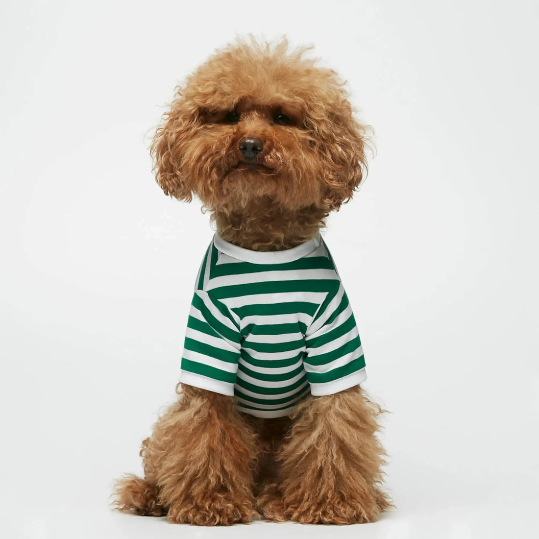 David T-Shirt // Hundeshirt mit Ärmeln aus Bio-Baumwolle (grün)