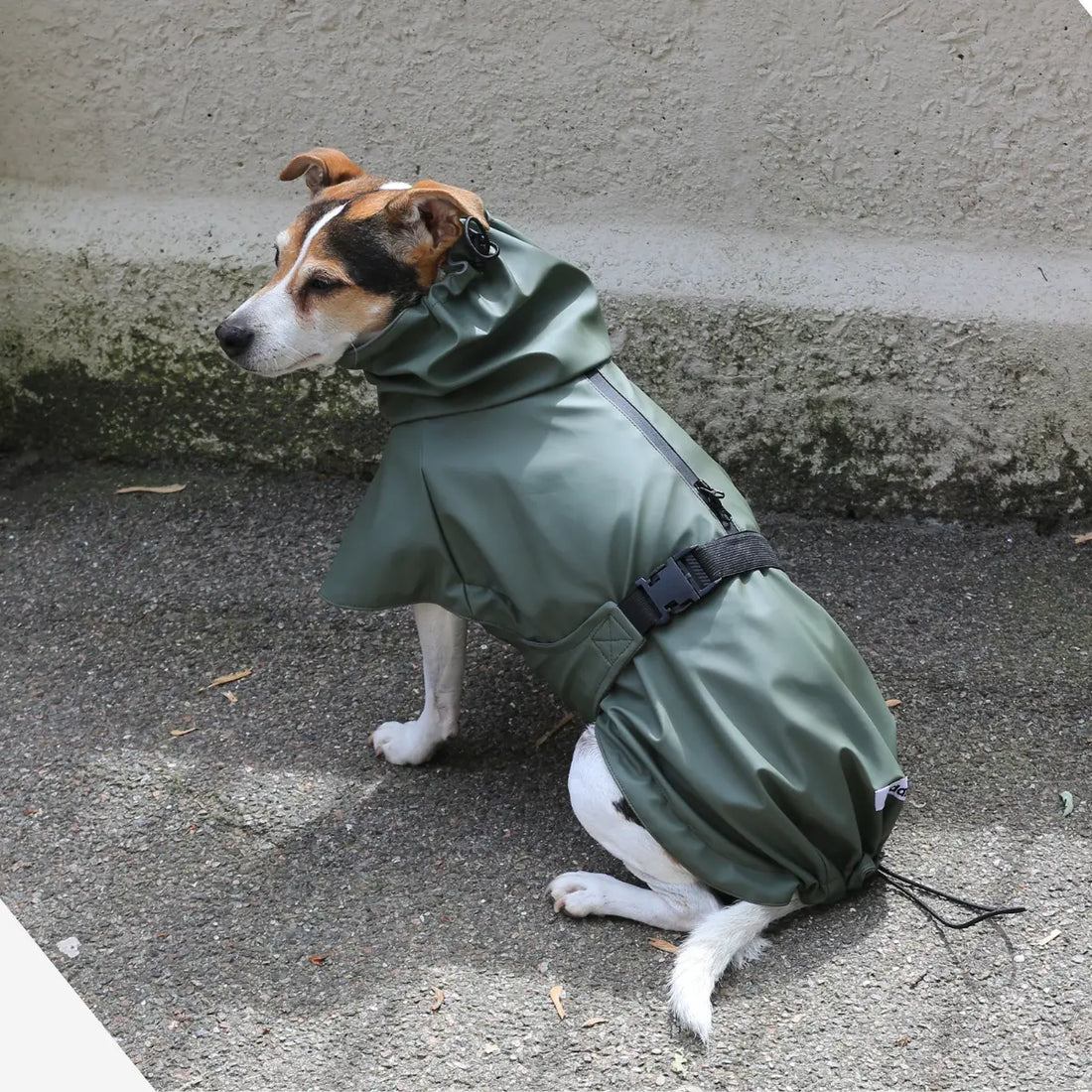 Tadazhi Raincoat // Wasser- und winddichte Regenjacke (olivgrün)