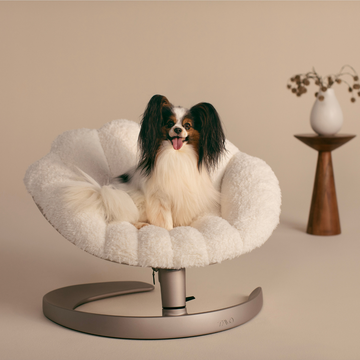 Tavo Shell™ // Gyngende lounge hundeseng (latte)