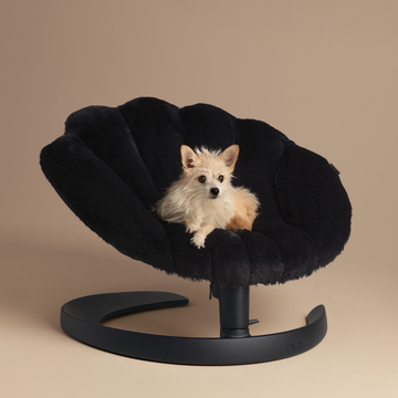 Tavo Shell™ // Gyngende lounge hundeseng (onyx)