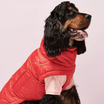 Al Puffer // Wasserabweisende Hundedecke (rot)