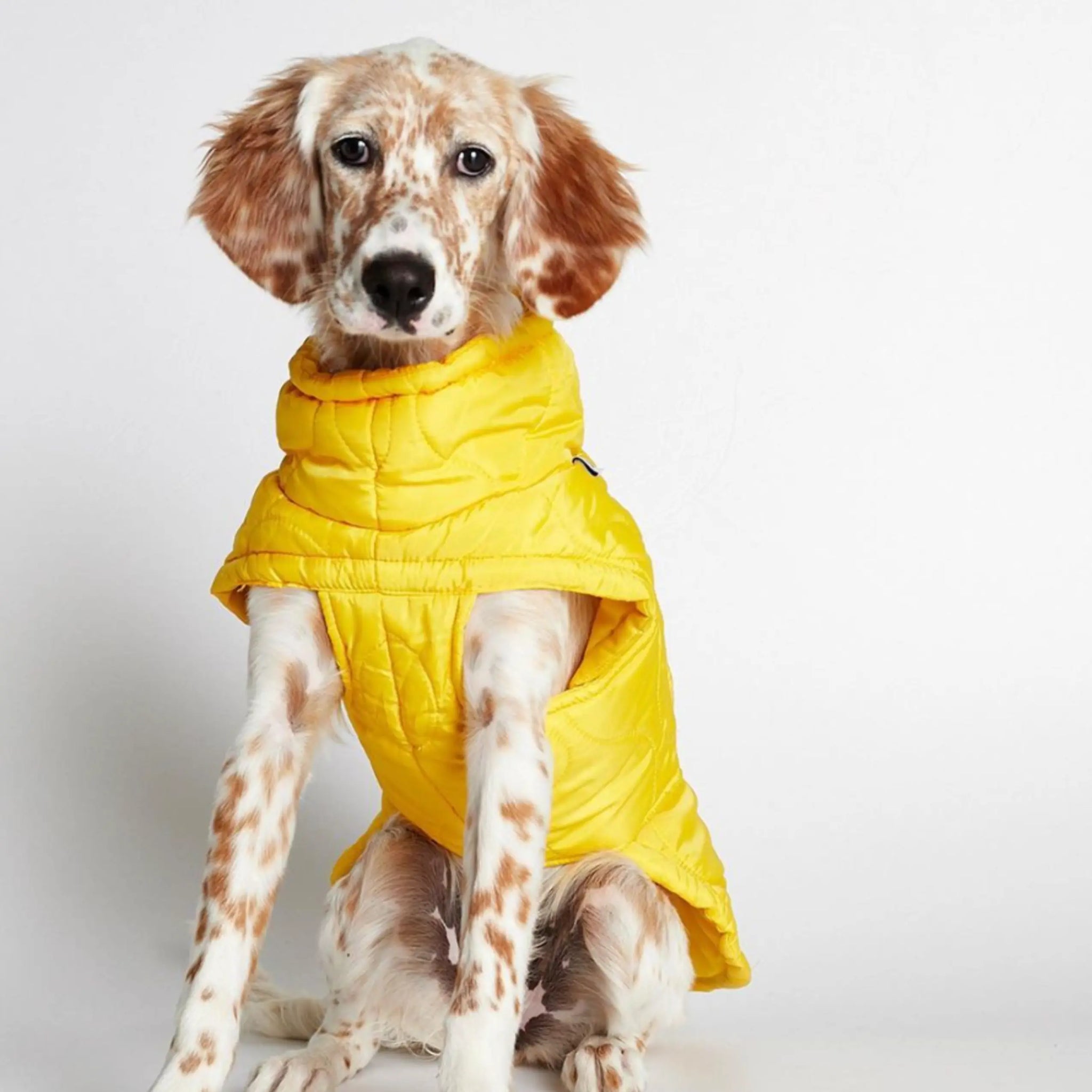 Al Puffer // Wasserabweisende Hundedecke (gelb)