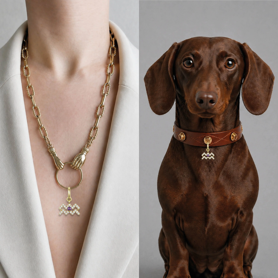 Unleash Cph Aquarius Charm // Vedhæng til hundehalsbånd (vandmand)