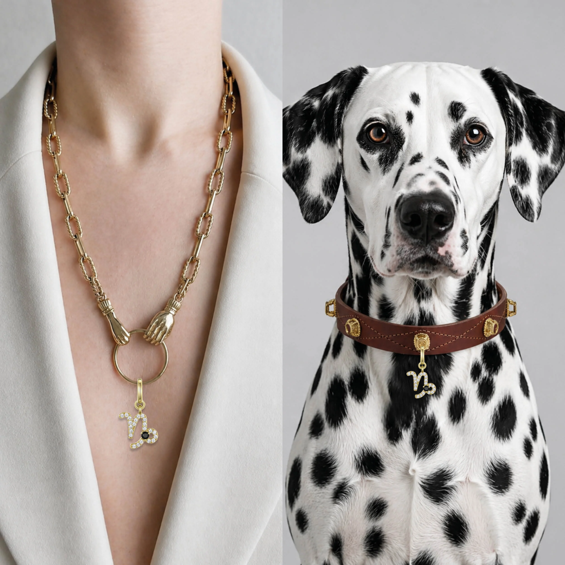 Unleash Cph Capricorn Charm // Vedhæng til hundehalsbånd (stenbuk)