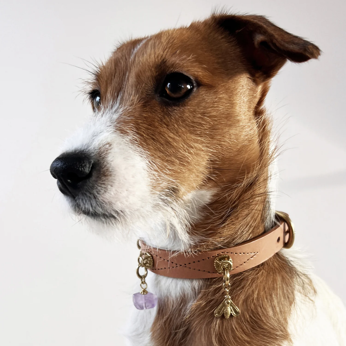 Unleash Cph Fertility Charm - The Honeybee // Vedhæng til hundehalsbånd