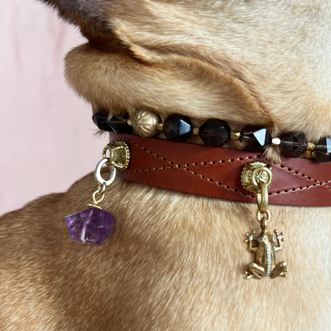 Unleash Cph Potential Charm - The Frog // Vedhæng til hundehalsbånd