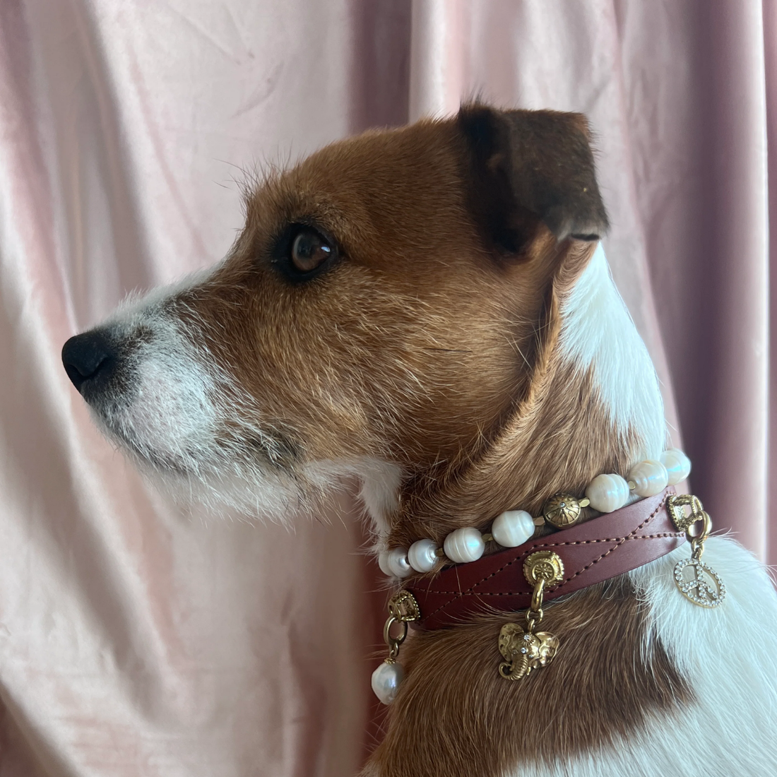 Unleash Cph Wisdom Charm - The Elephant // Vedhæng til hundehalsbånd