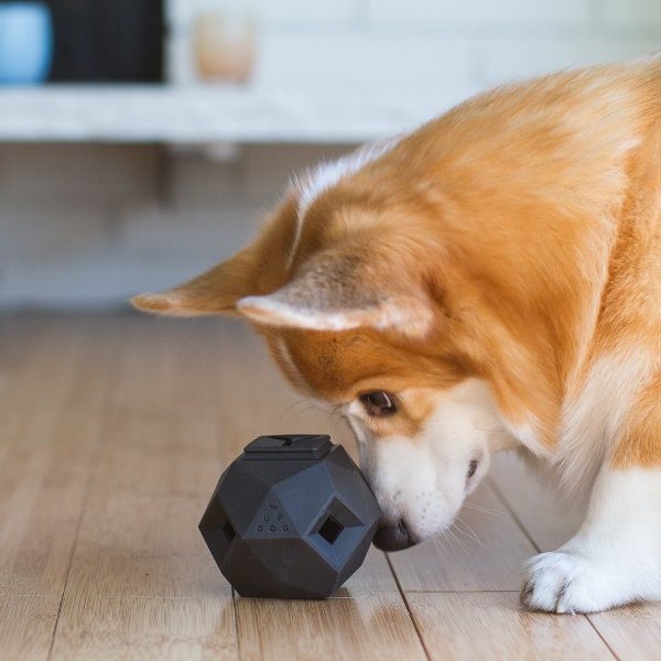 Up dog The Odin // Beschäftigungsspielzeug für Leckerlis (schwarz)