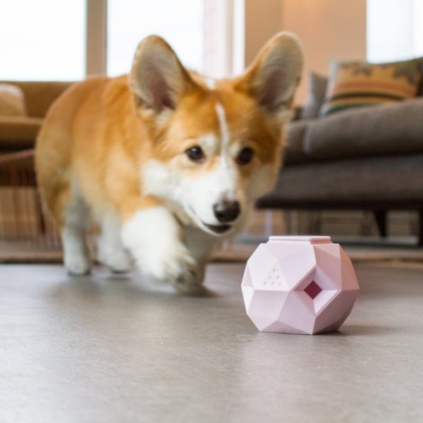 Up Dog The Odin // Beschäftigungsspielzeug für Leckerlis (pink)