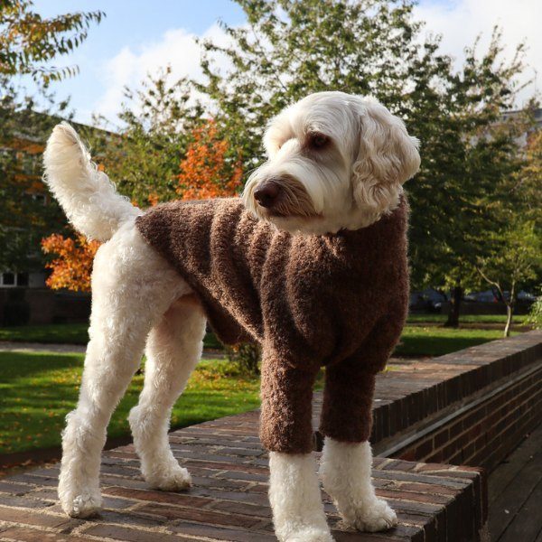WEAR FIFI Teddy Sweater // Handgestrickter Woll-Bouclé-Pullover (braun)