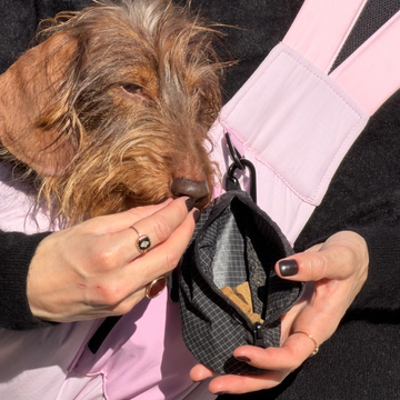 Weloca Treat Bag // Taske til godbidder, hundeposer etc. (sort)