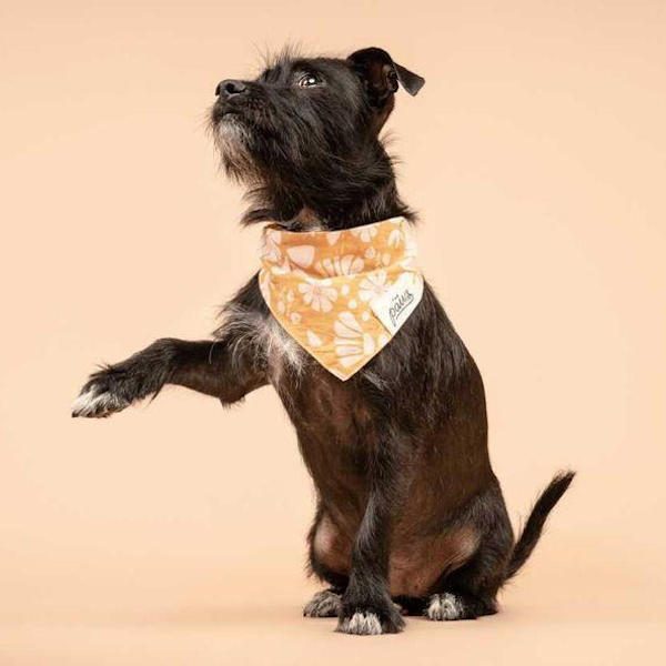Woodstock // Hundehalstuch mit Flower Power