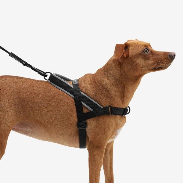 Zee.dog Gotham // Anti-Zug-Geschirr für Hunde (schwarz)