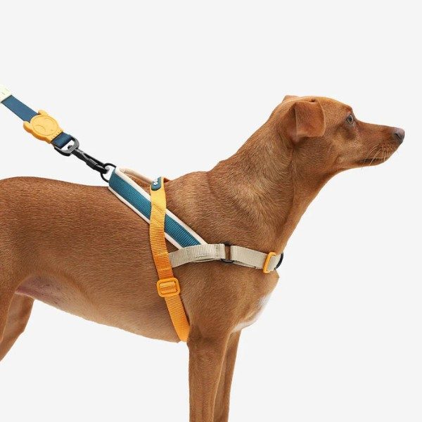 Zee.dog Voyage // Anti-Zug-Geschirr für Hunde (orange) Large