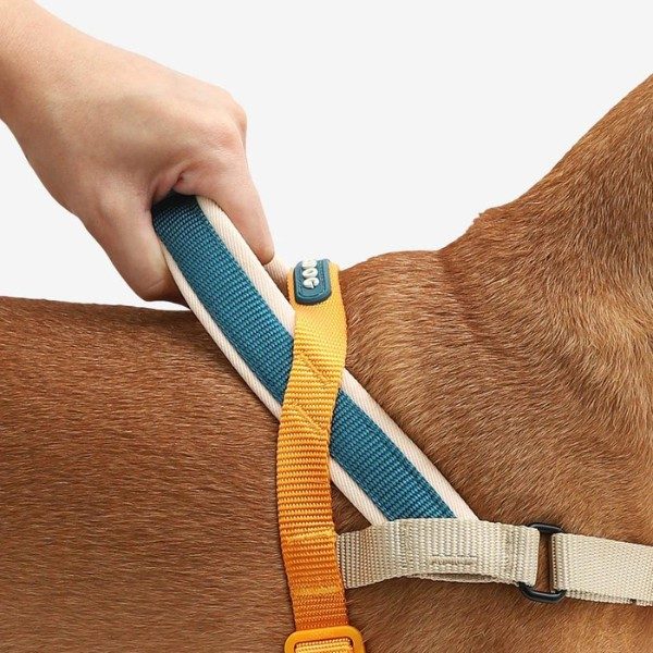 Zee.dog Voyage // Anti-Zug-Geschirr für Hunde (orange) Large
