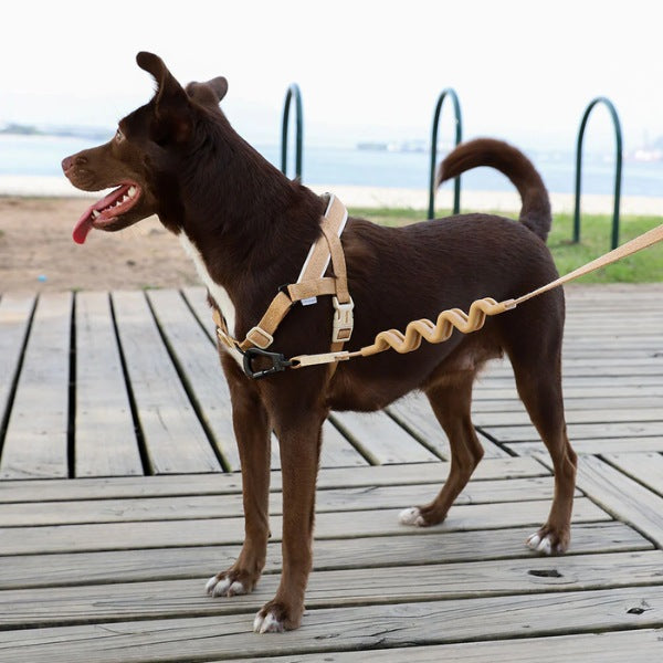 Zee.dog Dune // Anti-Zug-Geschirr für Hunde (Sand)