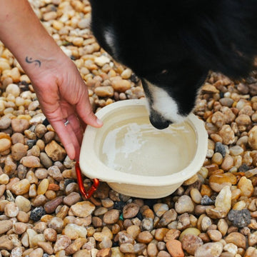 Zee.dog Go bowl // Faltbarer Hundenapf aus Silikon (Beige)