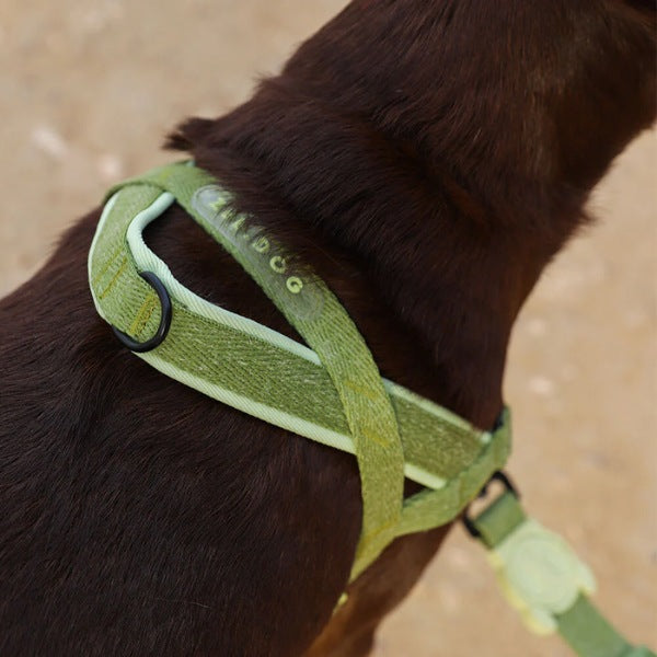 Zee.dog Moss // Anti-Zug-Geschirr für Hunde (Hellgrün)